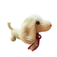 Dachshund Puppy